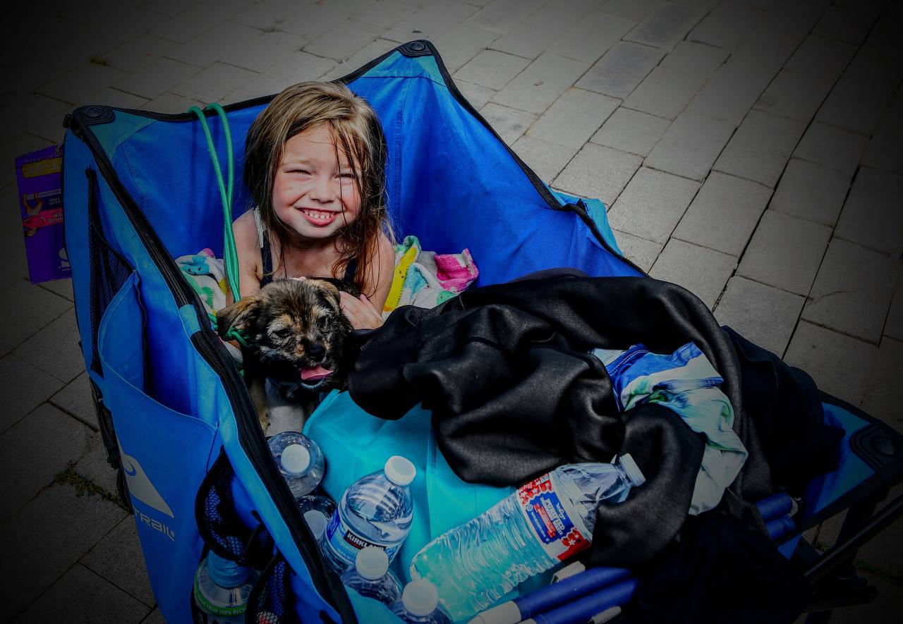 A child smiles beside a small dog in a blue wagon containing blankets and water bottles.
